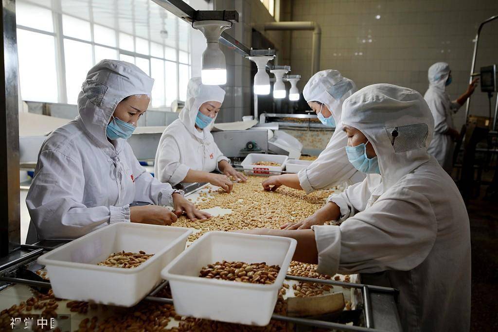 臨沂食品企業(yè) 深加工花生，提升農(nóng)產(chǎn)品附加值，打造國家保健食品生產(chǎn)新標(biāo)桿